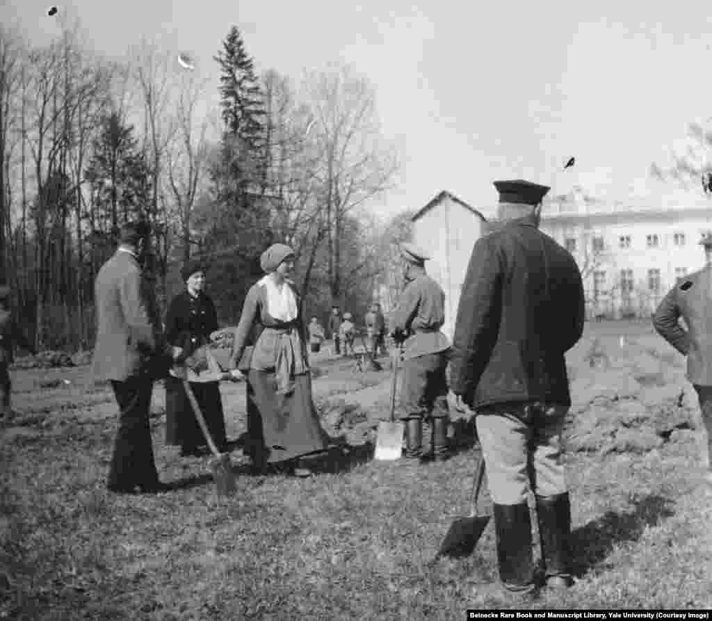 В первые месяцы после революции 1917 года Татьяна Романова помогала копать огороды, находясь в плену у революционеров.