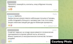 Чат волонтеров в Нижнем Новгороде