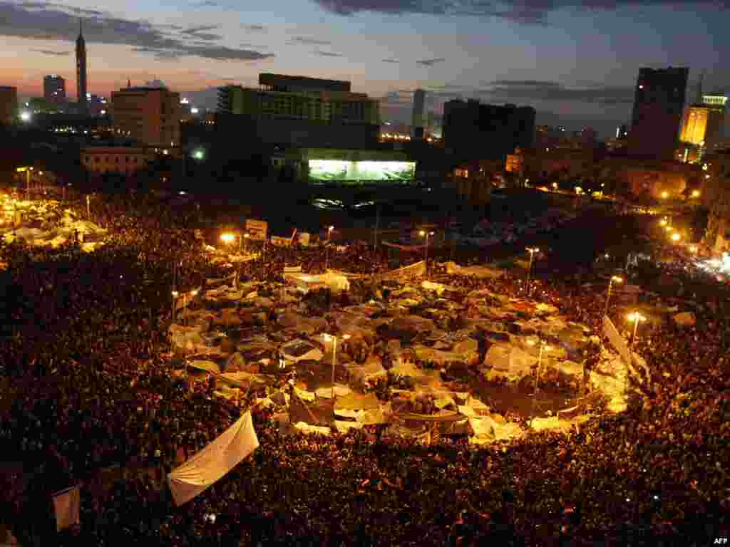 Təhrir Meydanı. 10 fevral 2011