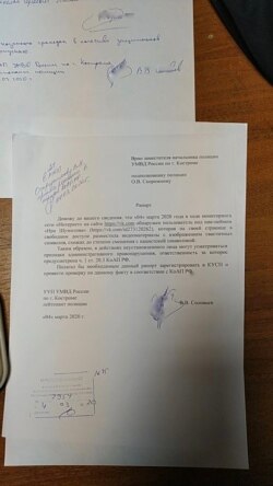 Рапорт по делу Ирины Шумиловой