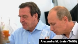 Vladimir Putin və Gerhard Şröder (2011-ci il)