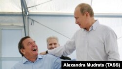 Владимир Путин и Герхард Шредер в Выборге, 6 сентября 2011 (архив)